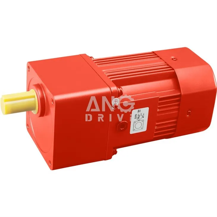 Reversible Motor Reducer