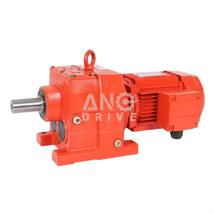 Worm Gear Motor
