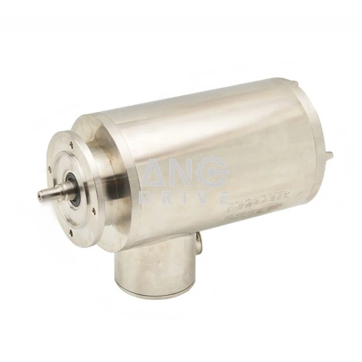 Fountain motor