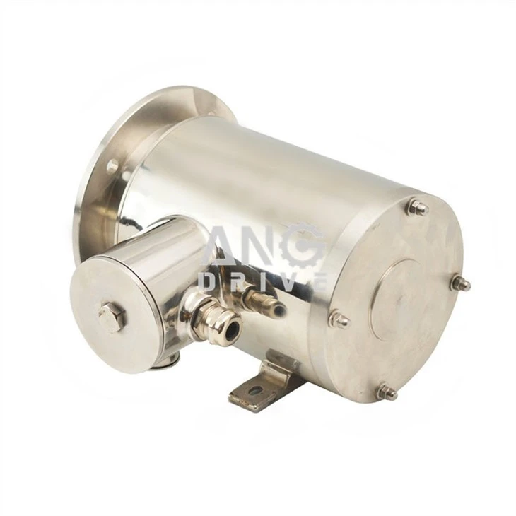 motor for food machine