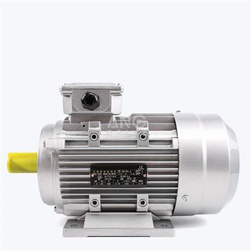 Motor Elétrico IE2