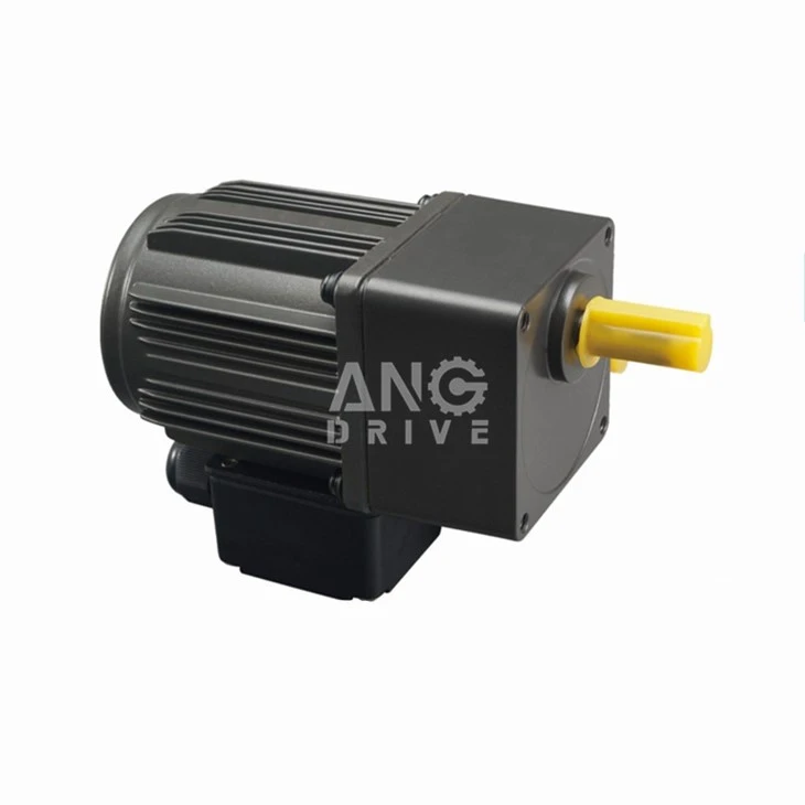AC gear motor with terminal box