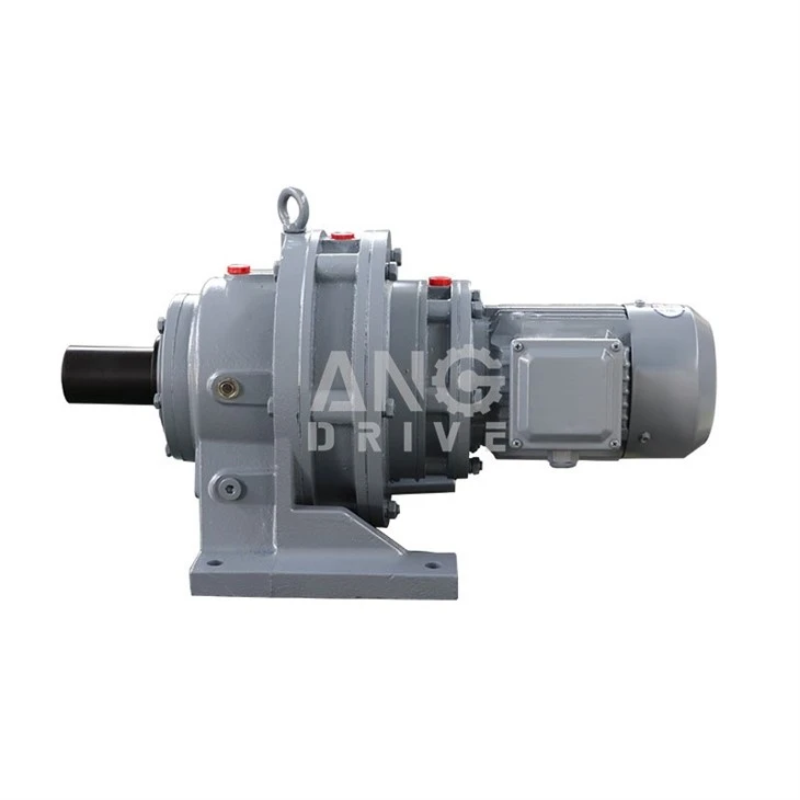 Cycloidal gear motor